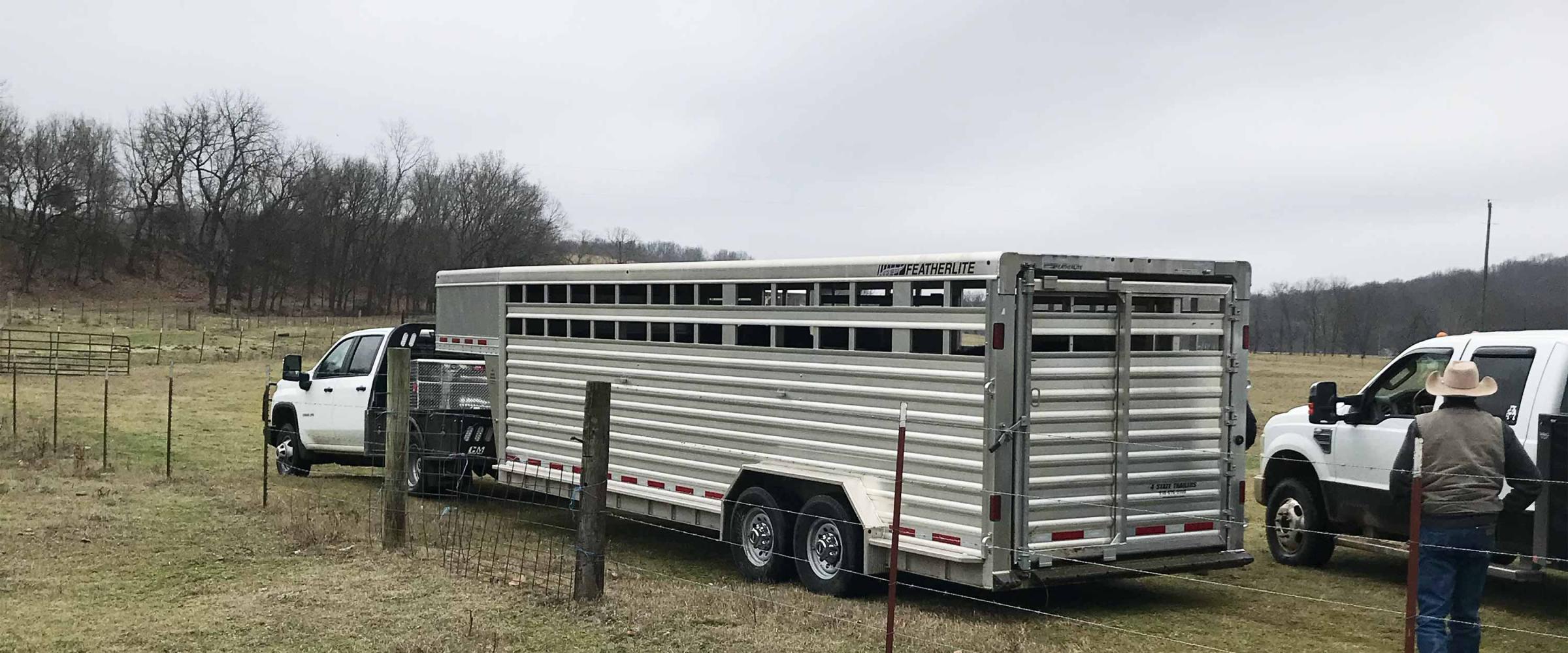 Photo of a cattle trailer